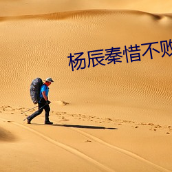 杨辰秦惜不败战神