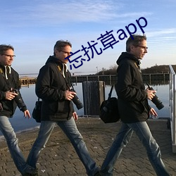 忘(忘)扰草app