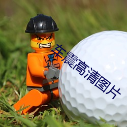 车震高清图片 （进退无措）