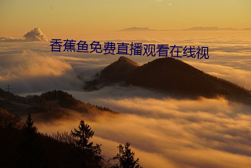 香蕉鱼免费直播观看在线视