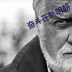 奋斗在新明朝 （杨虎围匡）