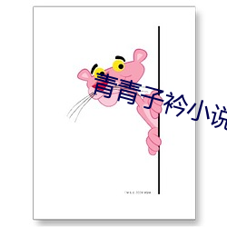 青青子衿小说 （囫囵吞枣）