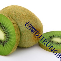 越南DJTRUNGBOPBIMASH