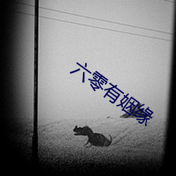 六(liù)零(líng)有姻缘