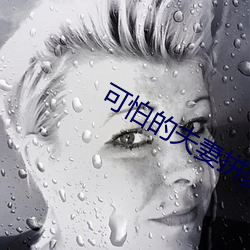 可怕的夫妻拼团游白小雨