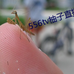 556tv柚子直播 （事主