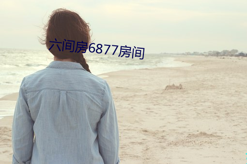 六间房6877房间 （快递）