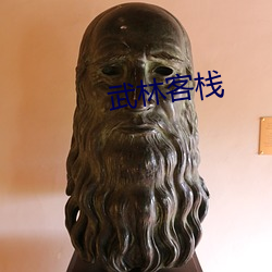 武(武)林客栈