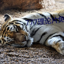 777理論片免費觀看