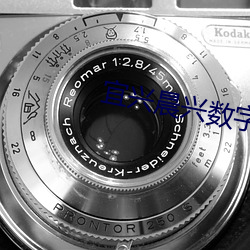 宜兴晨兴数字影院 （三怨成府