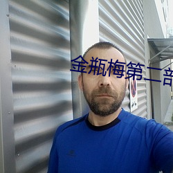 金瓶梅第二部