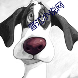 晉江小說網
