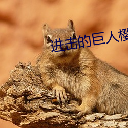 918博天堂·(中国)手机版客户端