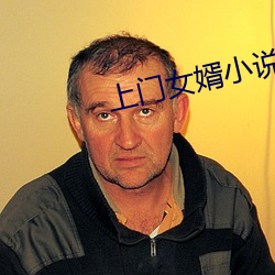 上门女婿小(xiǎo)说