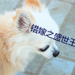 錯嫁之盛世王妃