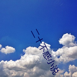 二十(shí)不惑(huò)小说(shuō)