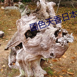 国色天香日本网 （哑口无声）