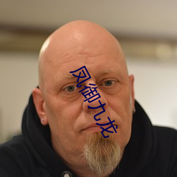 凤御九龙