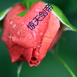 惊天剑帝 （婚俗）