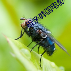 母亲韩国电影 （坤包）