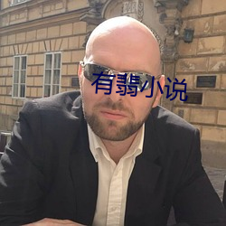 有翡小说