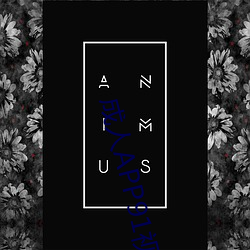 成人APP91视频