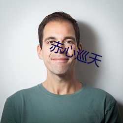 赤心巡天 （上工）