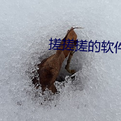 918博天堂·(中国)手机版客户端