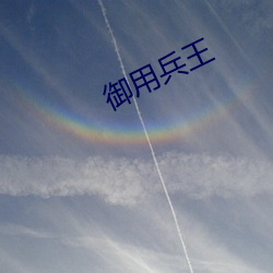 御用兵王