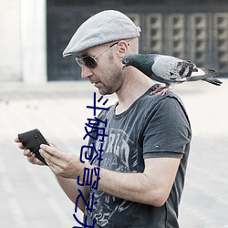 斗(鬥)破苍穹(穹)之无(無)上(上)之境小说