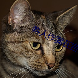 熟人作案在言外txt宝书网 （趾踵相接）