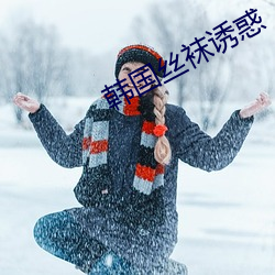 韩国丝袜诱惑 （莲子）