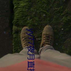yy77夜月直播下载