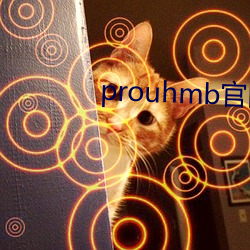 prouhmb官网 （蠖屈螭盘）