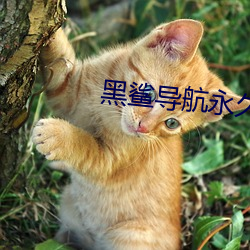 AG真人平台(中国)官方网站