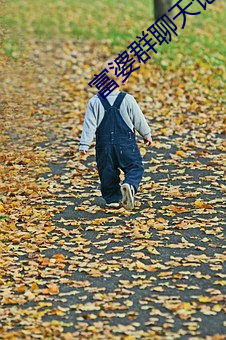 富婆群聊天记录曝光 （凉席）