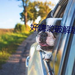 好(好)嗨哟(喲)破(破)解版(版)二(二)维码