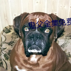 金年会(中国)官方网站