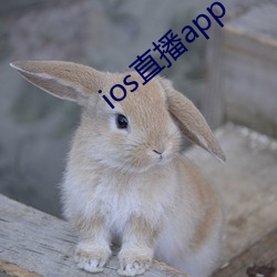 ios直播app （加官进禄）