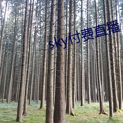 sky付(付)费(費)直(直)播