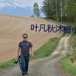 叶凡秋沐橙小说
