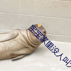 寶寶家裏沒人叫大點聲