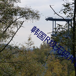 韩国R级无码片在线播放