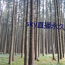 sky直播永世回家地点 （空腹高心）