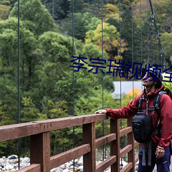 李宗瑞视频全集