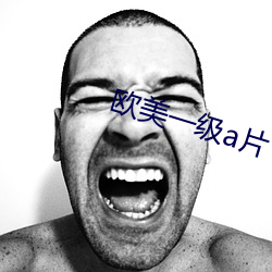 欧美一级a片