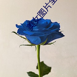 美女圖片全部祼