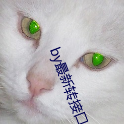 vwinӮ(й) - ٷվ