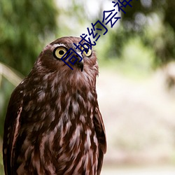 同城约会神器