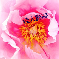 欧博abg - 官方网址登录入口